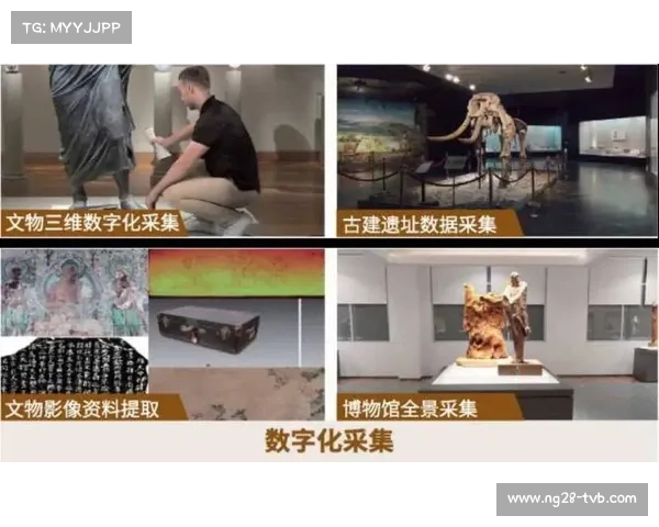 体育数据平台助力非物质文化遗产中传统体育项目数字化保护。